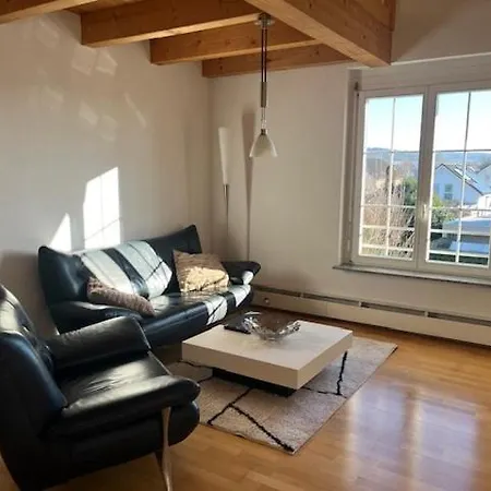 Stylish Near Rheinfall Schaffhausen