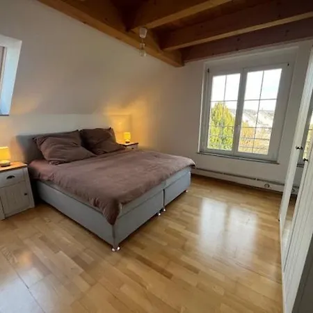 Stylish Near Rheinfall Schaffhausen Appartement