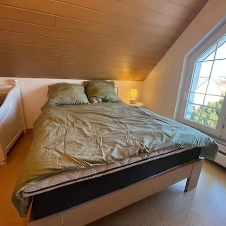 Appartement Stylish Near Rheinfall Schaffhausen Jestetten
