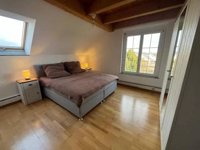 Stylish Near Rheinfall Schaffhausen Apartamento